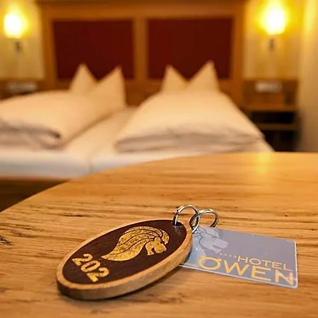 & Loewen 4* Ουλμ